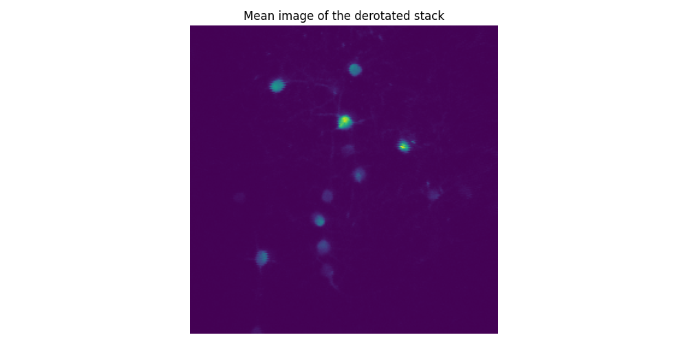 Mean image of the derotated stack