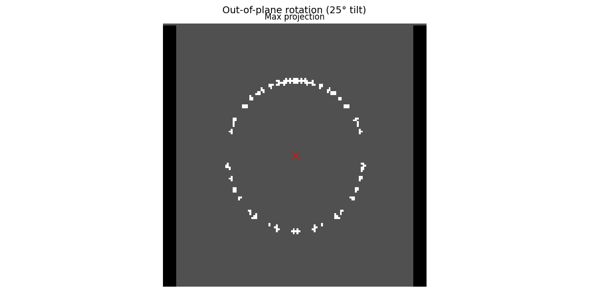 Out-of-plane rotation (25° tilt), Max projection